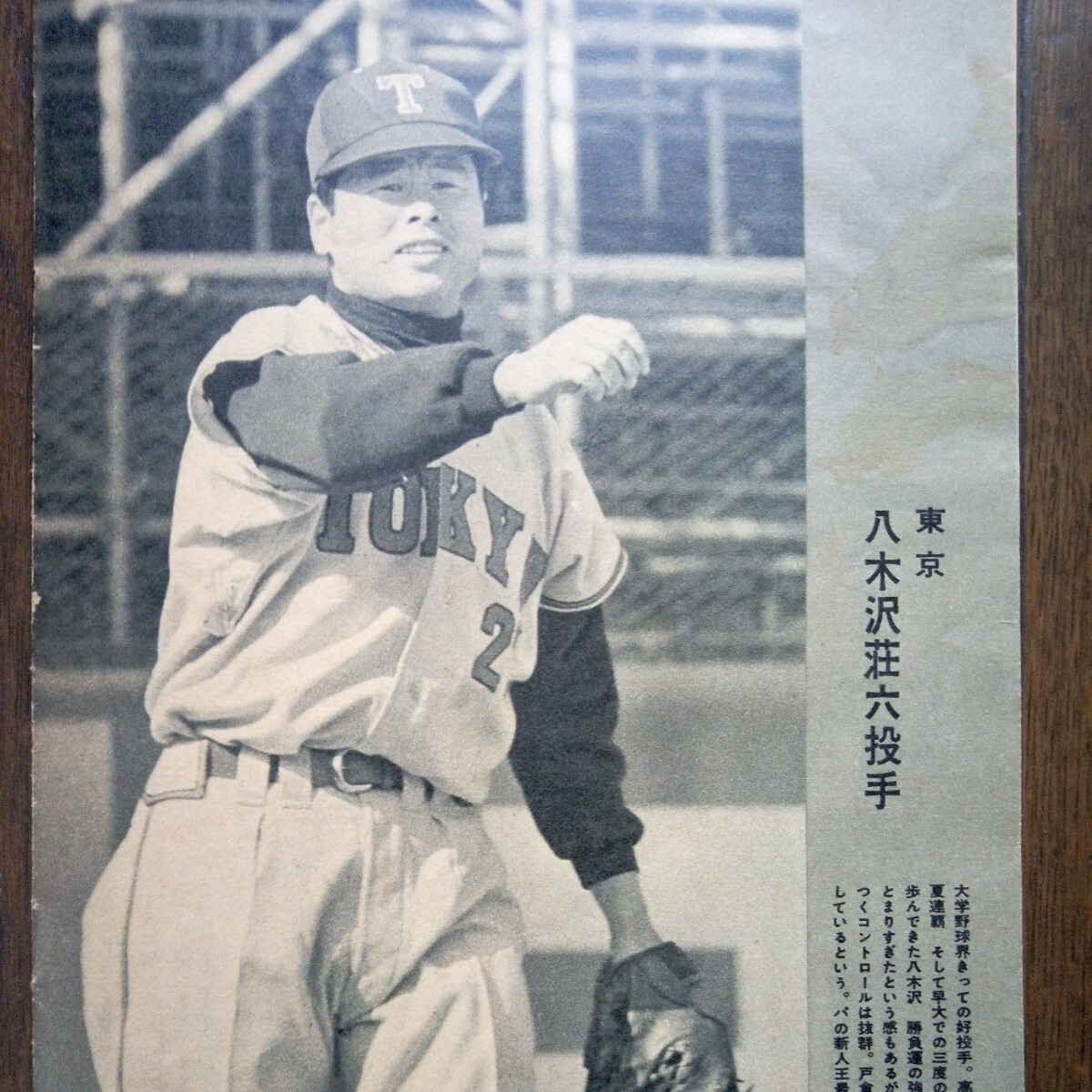 1967 year Professional Baseball player name .
