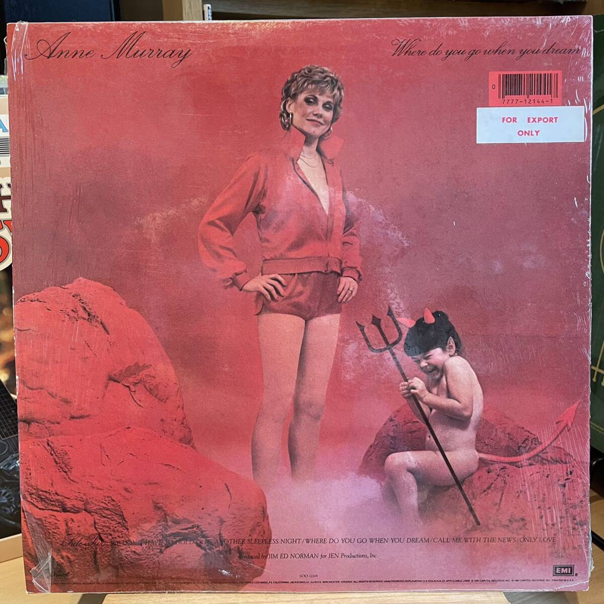 【US盤Org.】Anne Murray Where Do You Go When You Dream (1981) Capitol Records SOO-12144 シュリンク_画像2