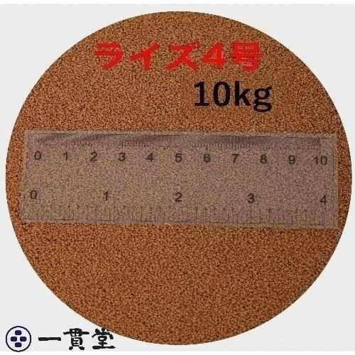 日清丸紅飼料ライズ4号 10kg(2kg×5袋） (粒径0.58～0.84mm) メダカ めだか エサ 餌 おとひめ ハイグロウ リッチ 送料無料 直送　 100019_画像1