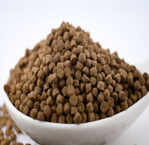 o...EP3(20kg) /4.0~3.4mm(...) free shipping common carp, meat meal fish, fishing bait .