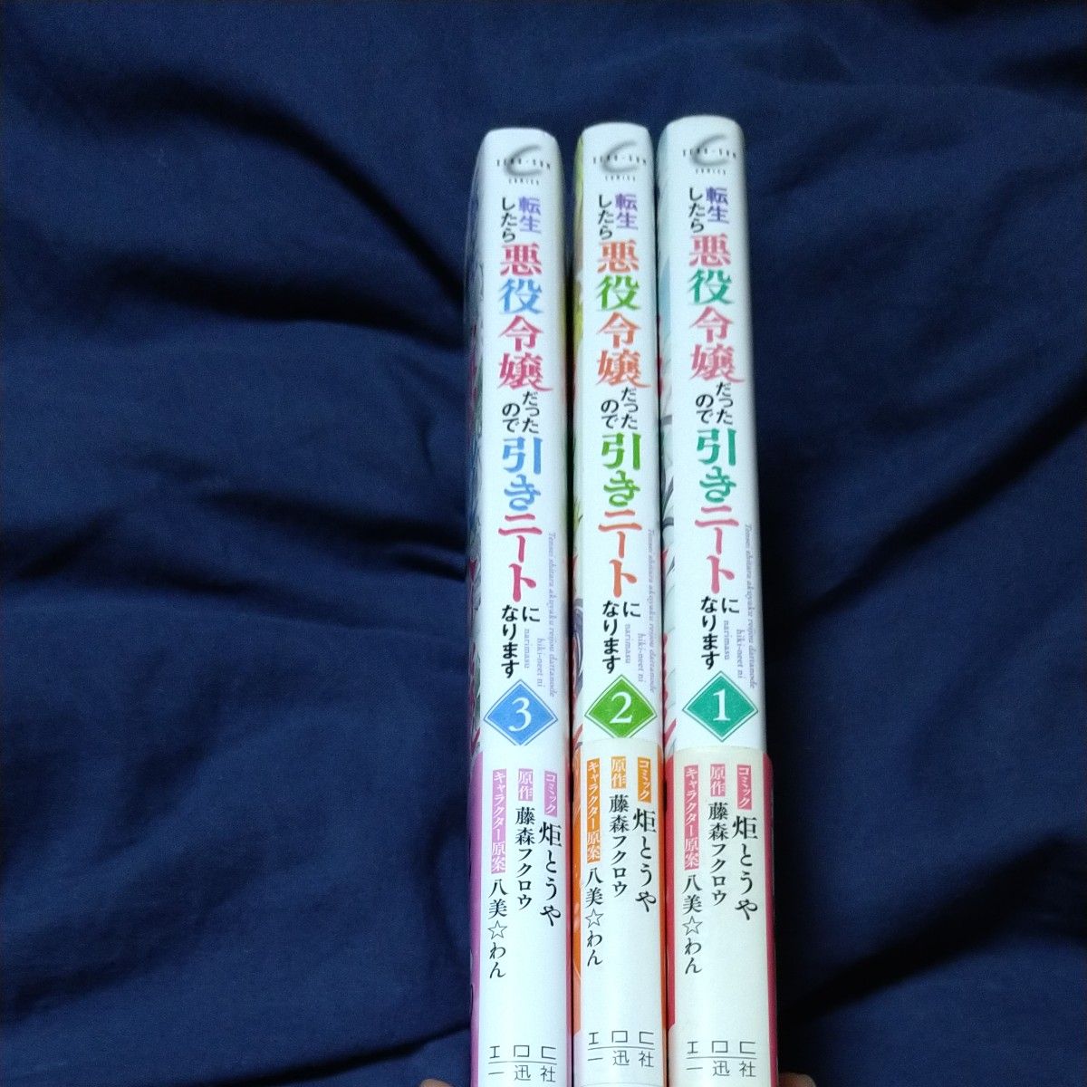 転生したら悪役令嬢だったので引きニートになります全3巻