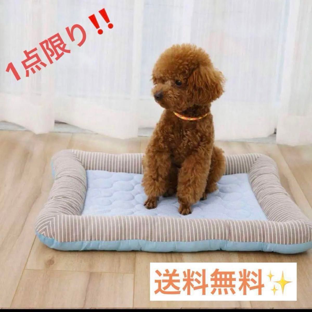 RPGT ペットマット 猫用 小型犬用クッション 猫 ベッド 手術後ケア用マット (Sサイズ) S: 35 x 45 cm