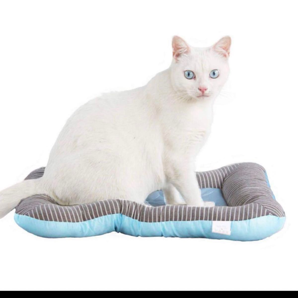 RPGT ペットマット 猫用 小型犬用クッション 猫 ベッド 手術後ケア用マット (Sサイズ) S: 35 x 45 cm