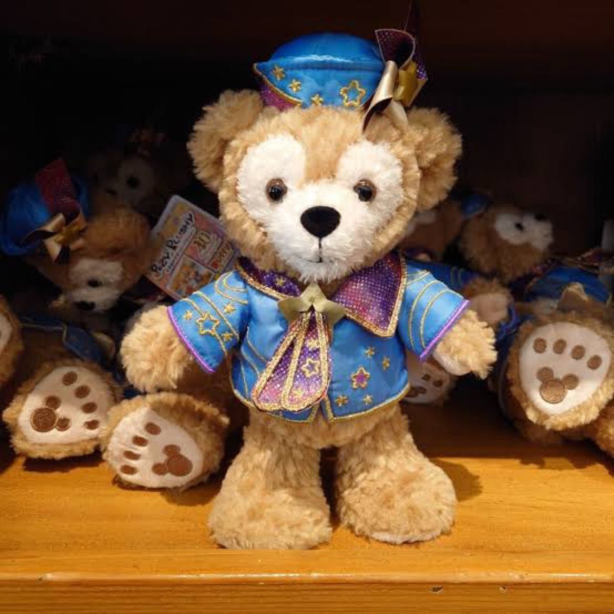 Duffy　ダッフィー　ポージープラッシー　ぬいぐるみ　東京ディズニーリゾート　40周年 限定 レッツ・セレブレイト・ウィズ・カラ