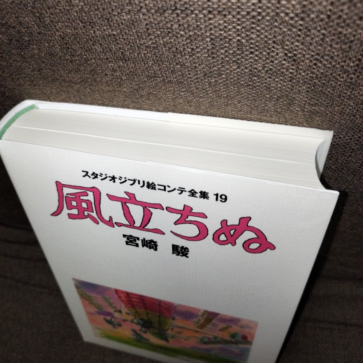 スタジオジブリ絵コンテ全集　１９ （スタジオジブリ絵コンテ全集　　１９） 宮崎　駿