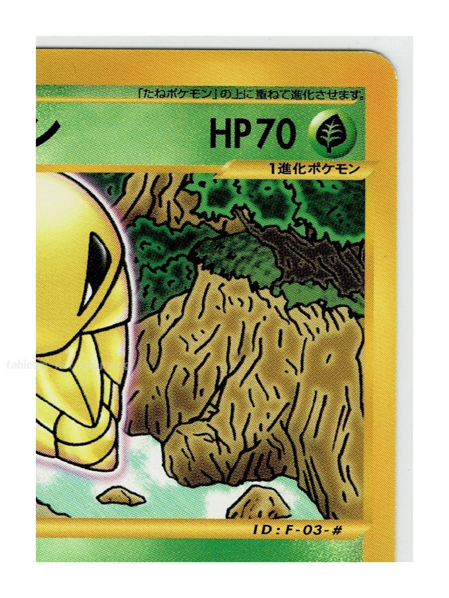 ｅ5草●003/088コクーン■神秘なる山■未使用 ポケモンカード　1edition　1st Edition　1ED_画像4