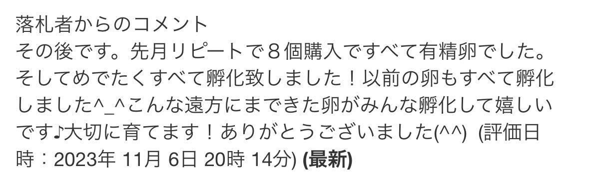 姫ウズラ　ヒメウズラ　食用有精卵　5個　今だけ値下げ中！　おまけ増量中！更に白姫付き_画像7