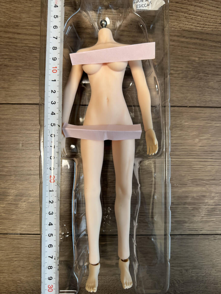 1/6 size woman element body approximately 27cm