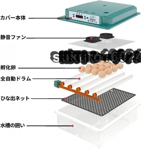 自動孵卵器インキュベーター 恒温器 鳥類専用ふ卵器 孵化器 自動転卵式 アヒル 鶏卵 アヒル うずら 恒温孵化器全自動 6-16個の卵_画像3