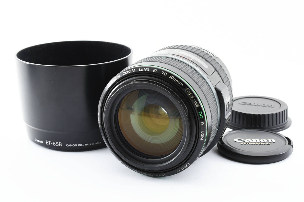 1円～美品＊キヤノン Canon EF 70-300mm F4.5-5.6 DO IS USM 一眼カメラ用レンズ_画像1