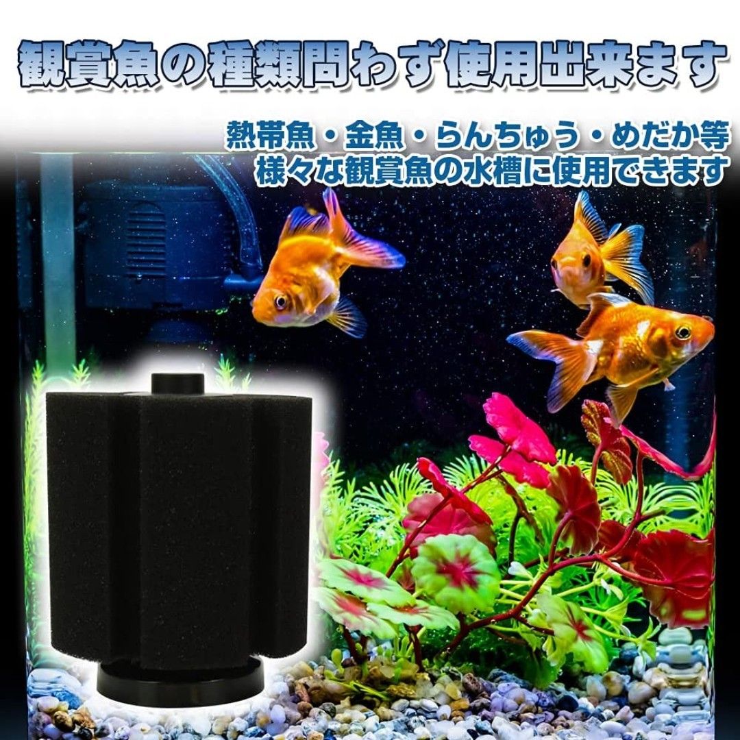 ろ過装置 スポンジフィルター 大型 水槽 水質改善 観賞魚 熱帯魚 金魚 アクアリウム (20.5cm×11.8cm 2個)