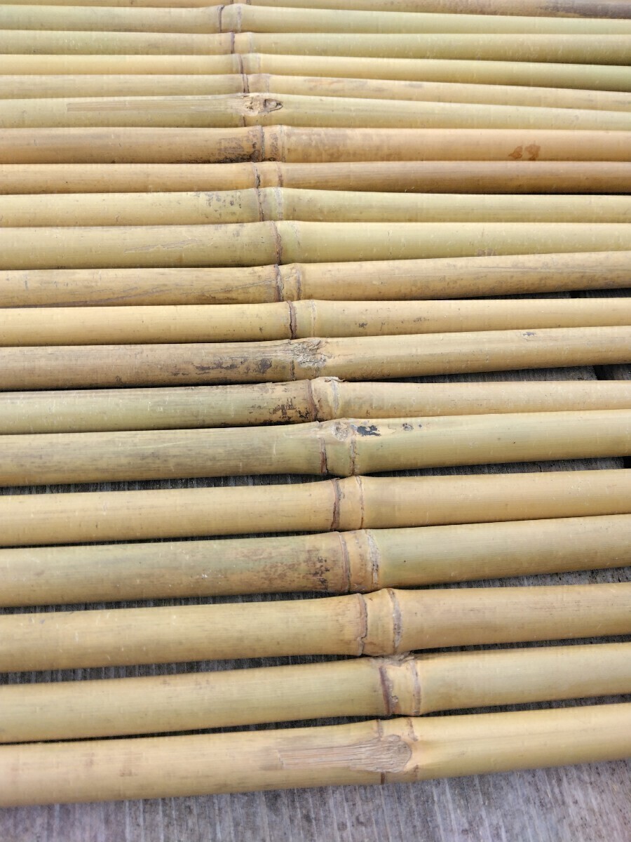 ティンパニマレット作製用女竹　ハネ品　未処理品　11ミリ前後とそれ以上　150本プラスα_画像2