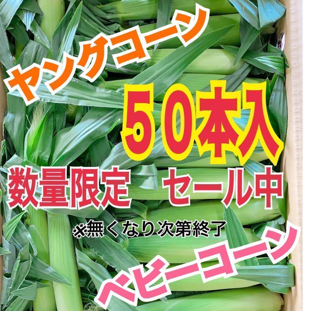 yc34 山梨県産　ヤングコーン　ベビーコーン　50本入　野菜　とうもろこし_画像1