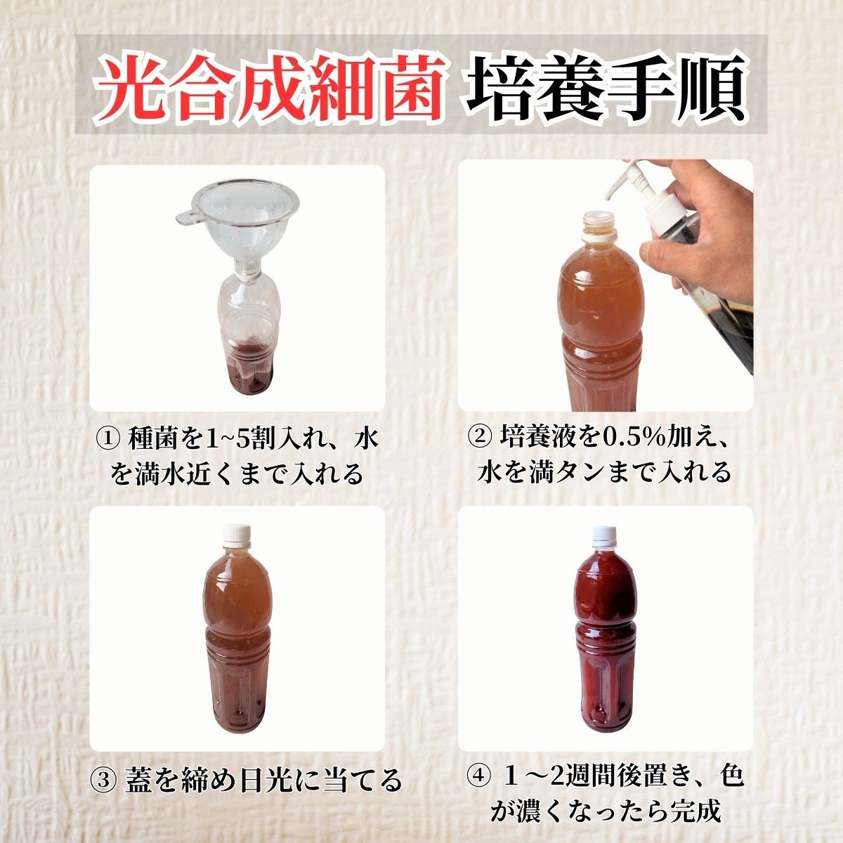 光合成細菌 PSB 20リットル培養液(内容量100ml)【秀玄】