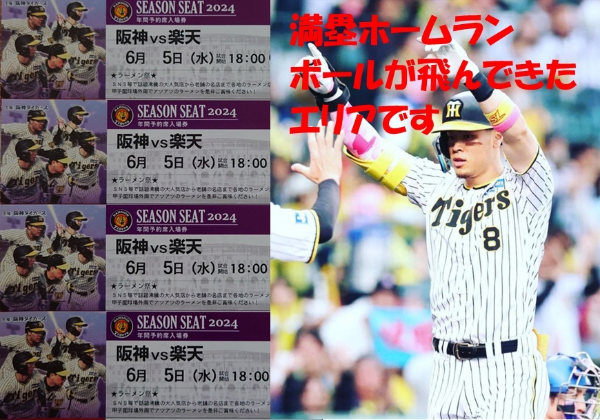  Hanshin Koshien 6/5( вода ) Hanshin Tigers vs Rakuten Golden Eagles билет под фарой уровень 4 полосный номер средний . сиденье комплект прекращение возмещение иметь 