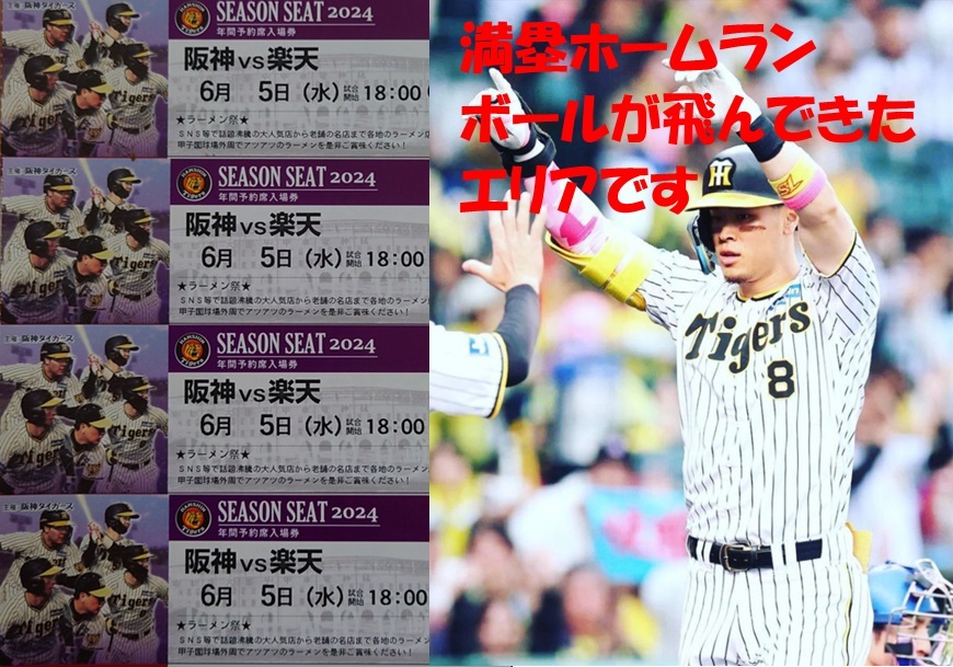 阪神　甲子園　6/5(水)　阪神タイガースvs楽天ゴールデンイーグルス　チケット　ライト下段　4連番並び席セット　中止補償有_画像1