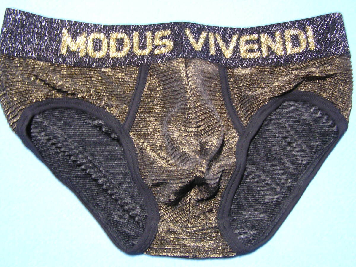 即決新品 MODUS VIVENDI モーダスビベンディ-M- Festive Lux Brief ビキニブリーフ 黒地金糸色 現品表記サイズ Mの画像2