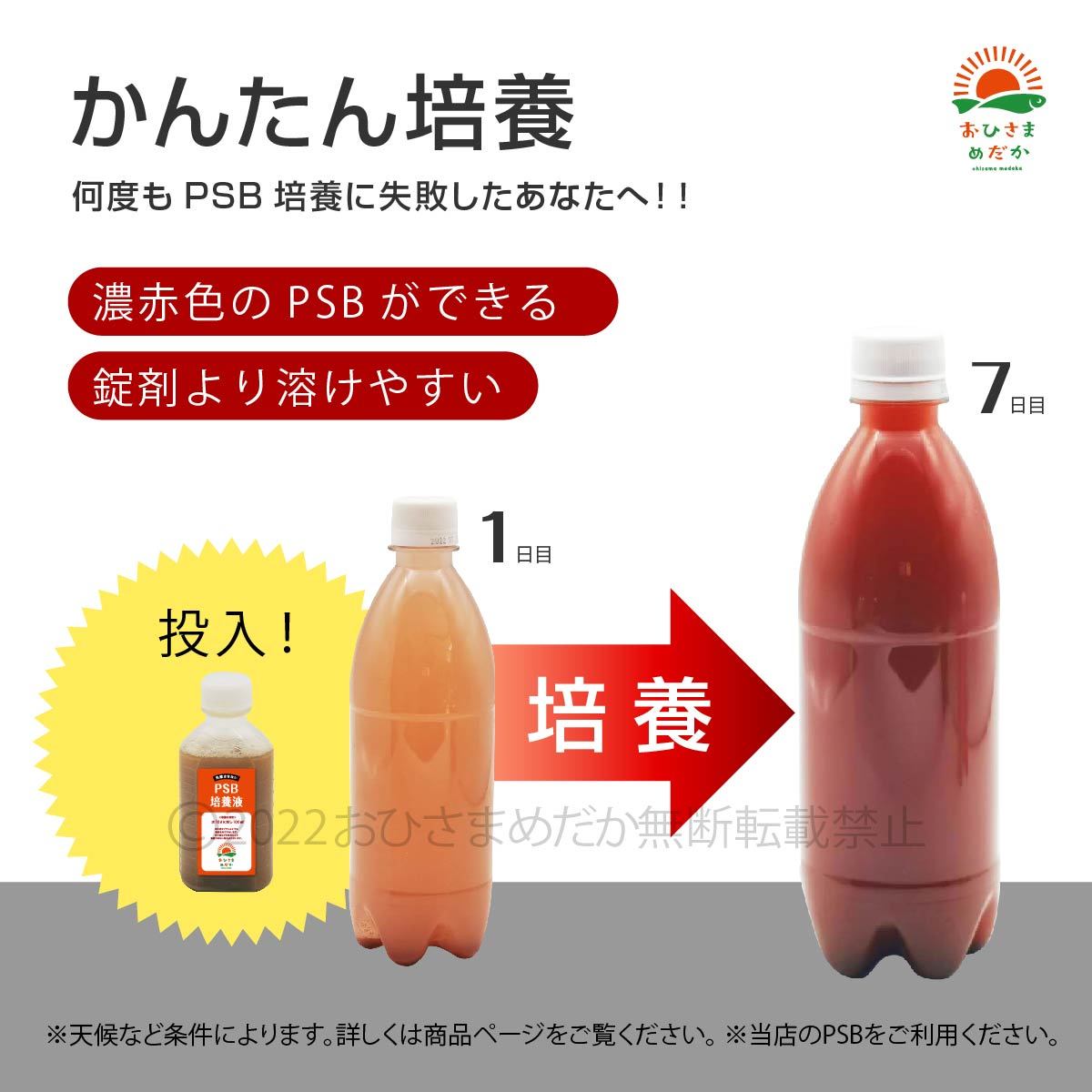 コスパ最強【PSB培養液 300ml 30L培養分 送料無料】光合成細菌 メダカ めだか 金魚 ミジンコ ゾウリムシ クロレラ ミジンコ に最適の画像2