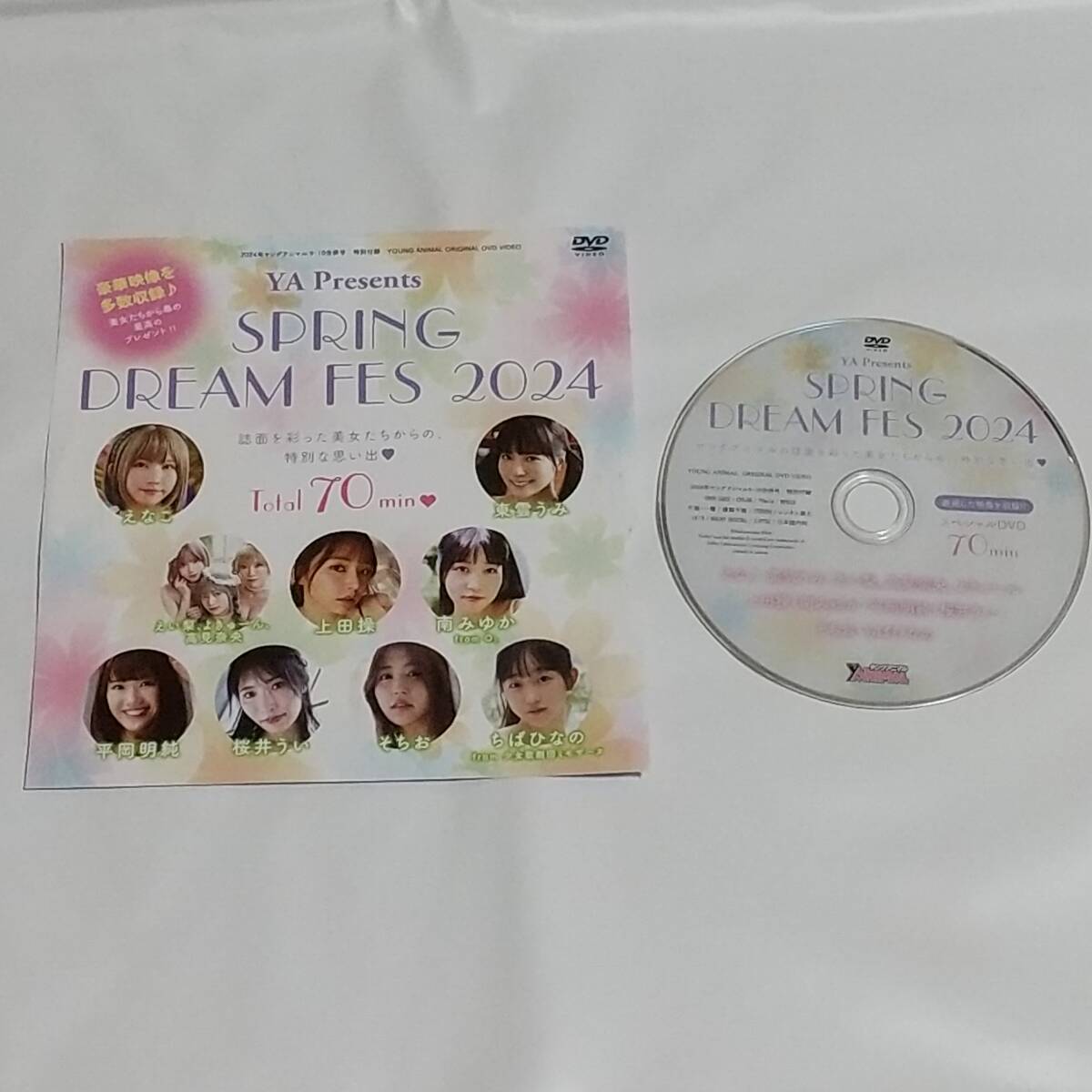 開封済 付録 DVD えなこ 東雲うみ 南みゆか の画像1