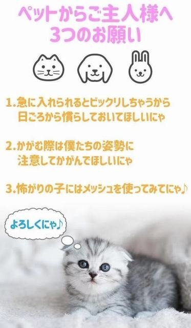 ［sunstore］★キャリーバッグ　猫　犬　ペットリュック　ねこ　いぬ　ペット　葉_画像9