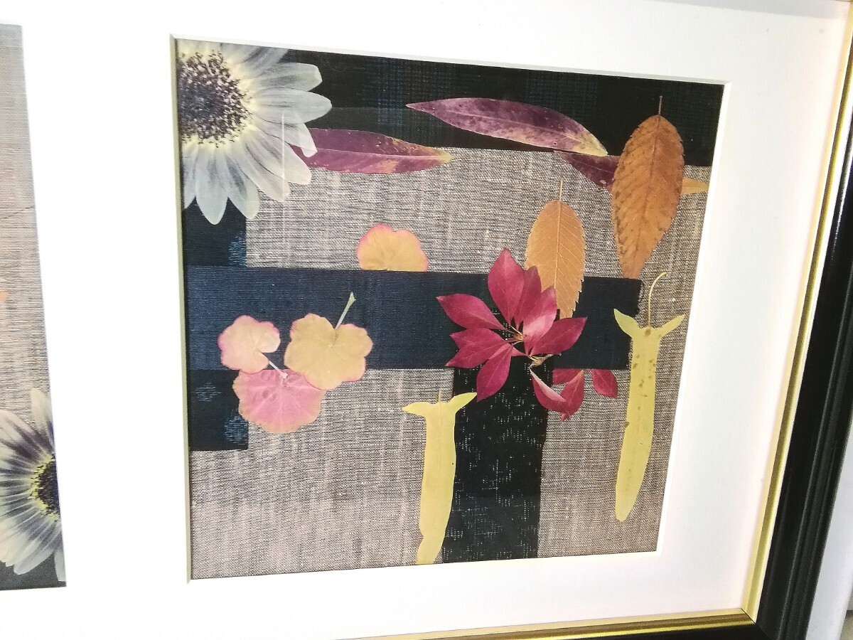fu... flower club pressed flower . amount [ patchwork ] frame / picture frame (L60 light . amount ) pressed flower art flower also boxed ⑲