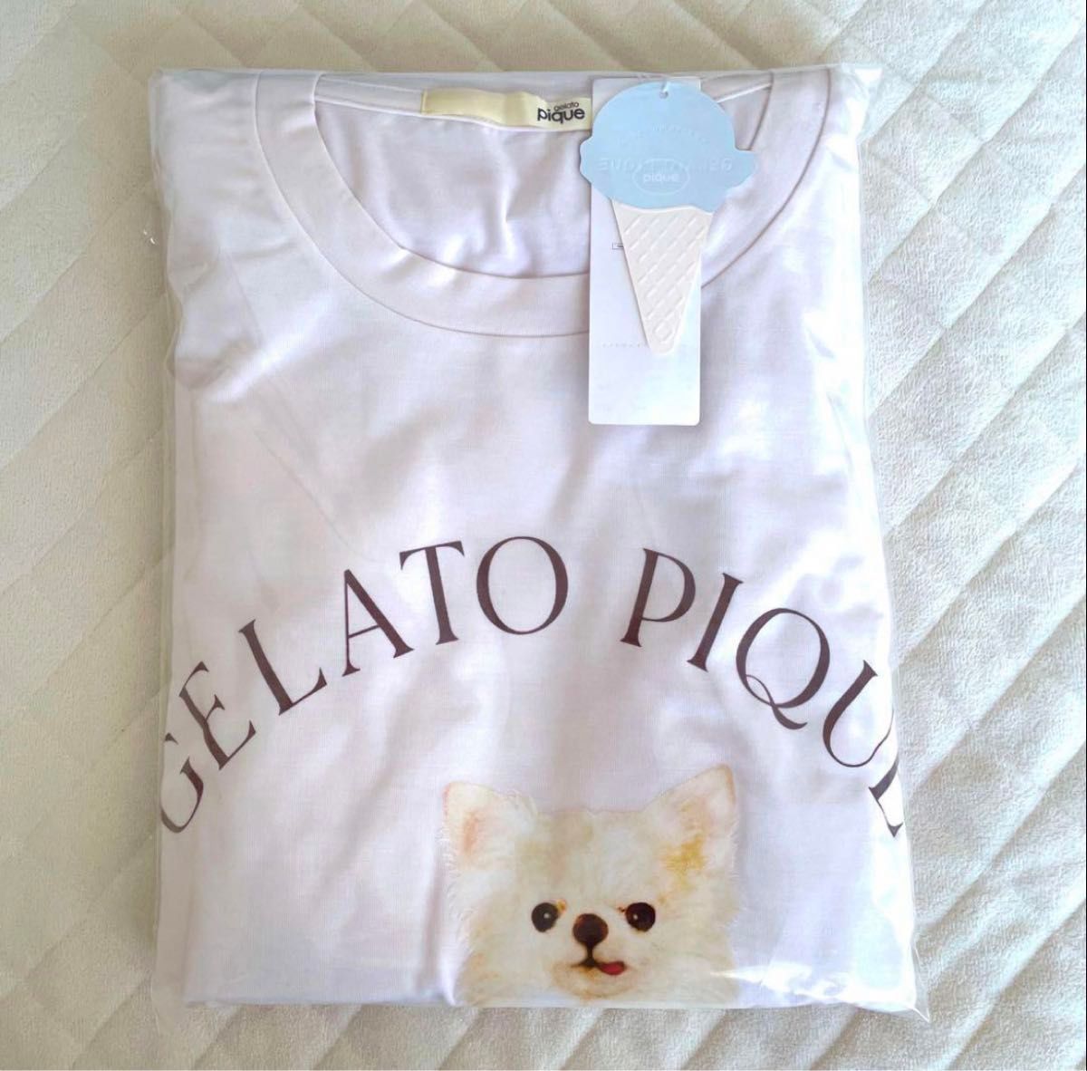 新品 ジェラートピケ ジェラピケ チワワ ピンク 半袖 パンツ 新品 ジェラートピケ ジェラピケ チワワ ピンク 半袖 パンツ