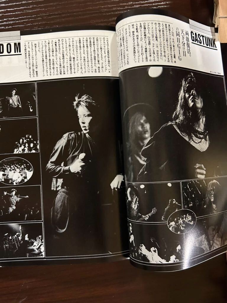 フールズメイトNo.66 (SIOUXSIE & THE BANSHEES, デレク・ジャーマン, GASTUNK, SODOM, 有頂天,筋肉少女帯, Damned, Killing Joke)_画像4