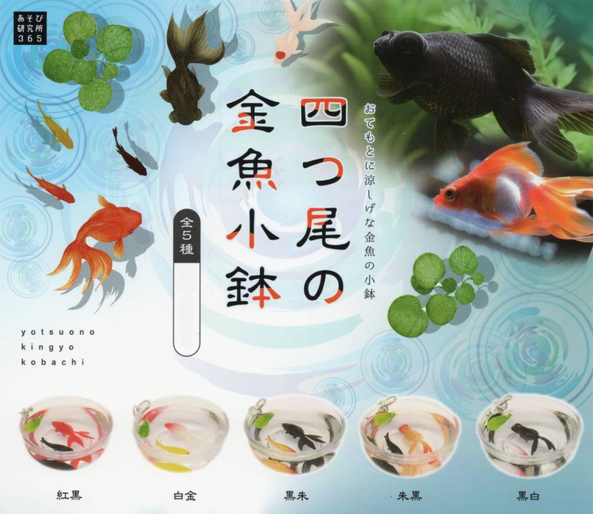 ◆-□　【 送料無料 】　[ 即決 ]　四つ尾の金魚小鉢　( 全５種セット )　追跡可能発送_画像1