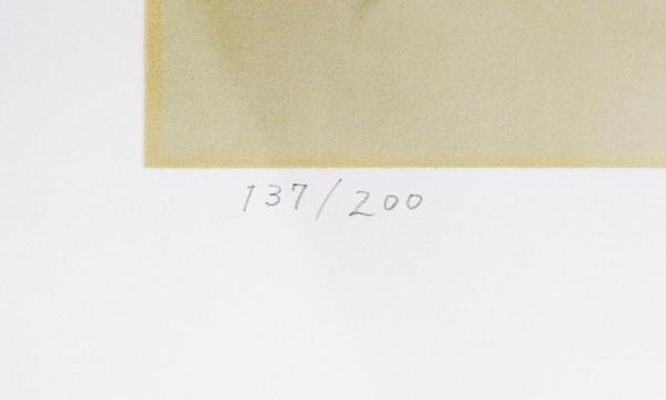 [ подлинный произведение ][WISH] ширина гора большой .[.. не 2 ] литография 6 номер подтверждение наклейка 0 -слойный документ .[.... map ] др. японская живопись ....#24042984