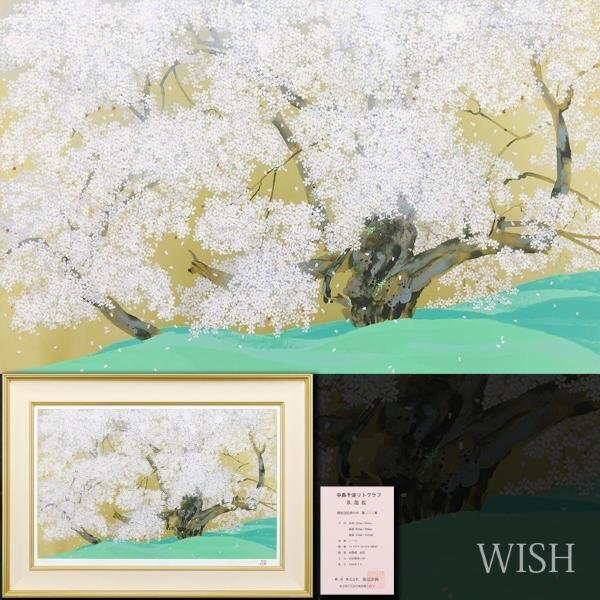 【真作】【WISH】中島千波「臥龍桜」リトグラフ 約25号 大作 1996年作 直筆サイン 証明シール ◆桜人気作 　　〇現代巨匠 #24043594_画像1