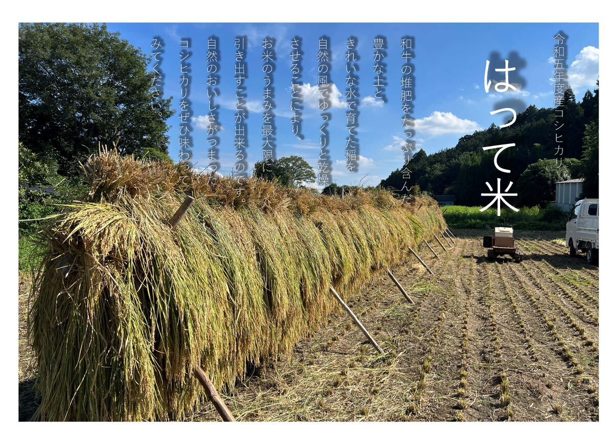 コシヒカリ　天日干し 30㎏ 農家直送 玄米　あと3つ_画像1