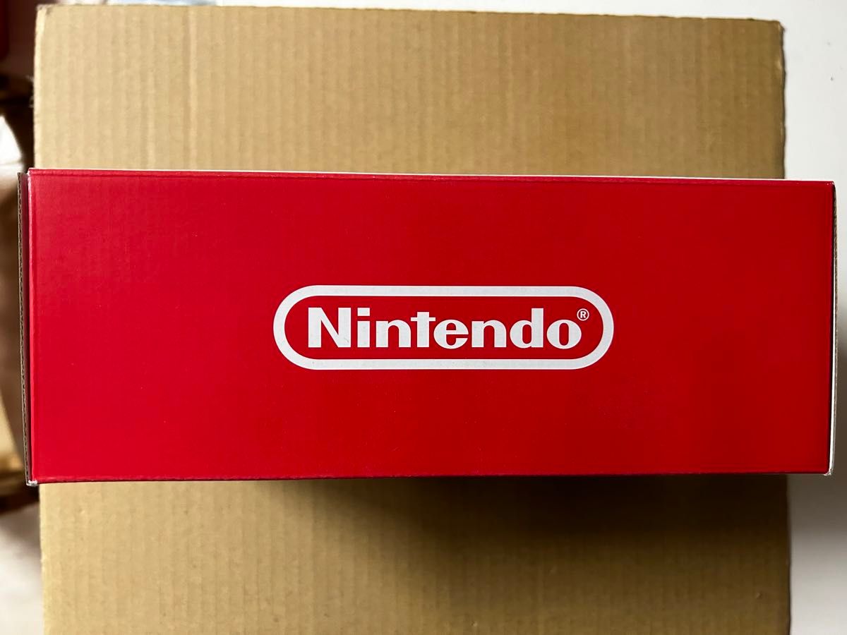 Nintendo Switch Lite あつまれ どうぶつの森セット ~しずえアロハ柄~ 新品未開封