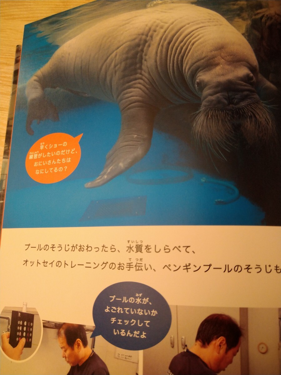 がんばるセイウチ （しってる？水族館のにんきもの　３） 松橋利光／文写真　アリス館　図書館廃棄本_画像4