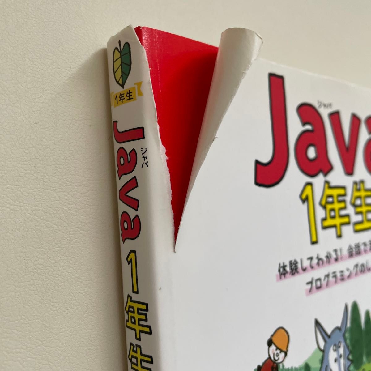 Ｊａｖａ　１年生　体験してわかる！会話でまなべる！プログラミングのしくみ （１年生） 森巧尚／著