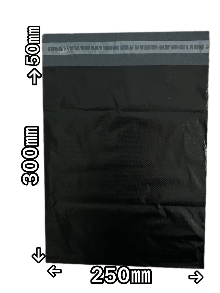 宅配ビニール袋 A4サイズ 強力テープ付き　100枚　宅配袋 梱包 資材