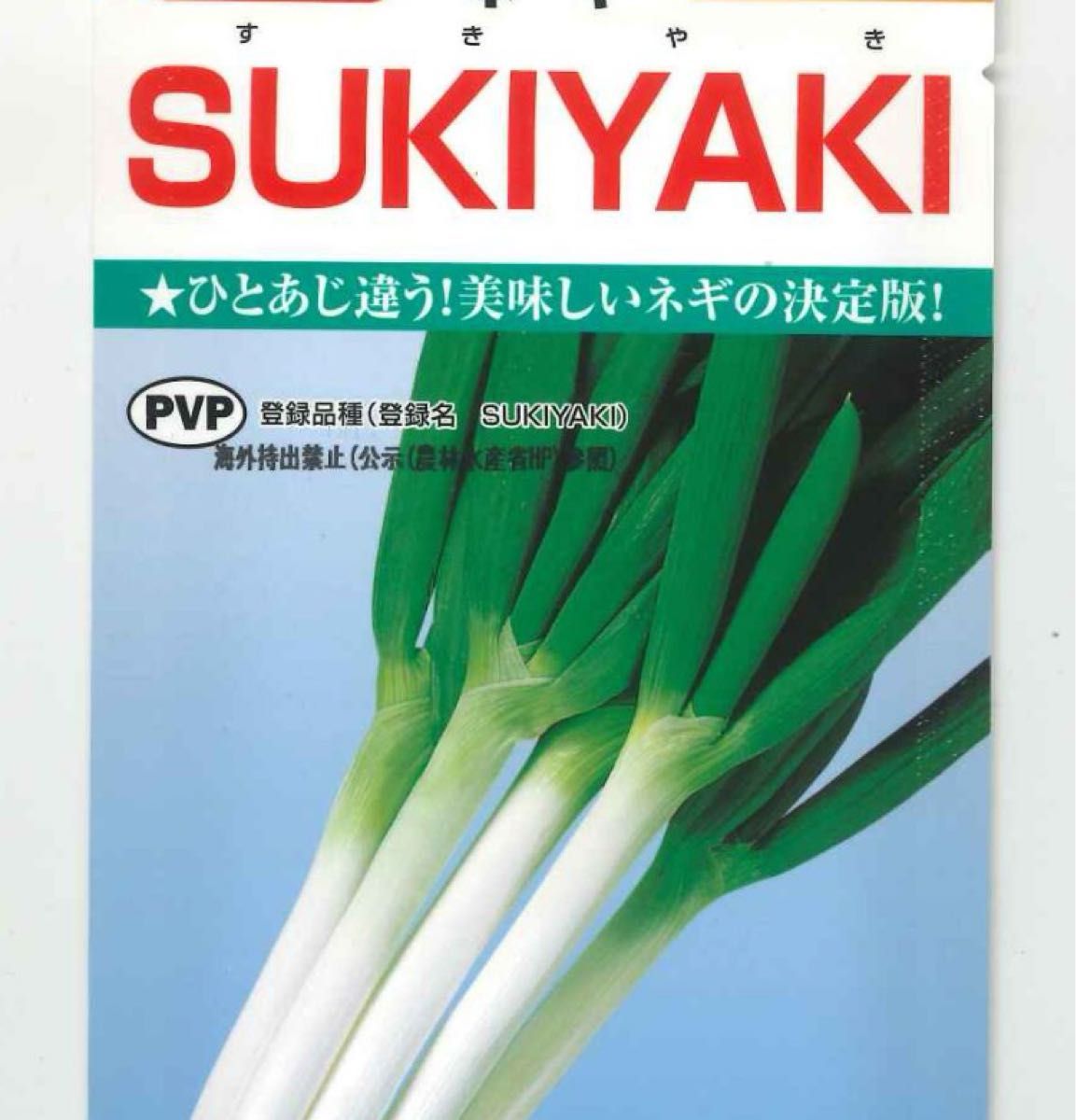 スキヤキ葱苗　50本