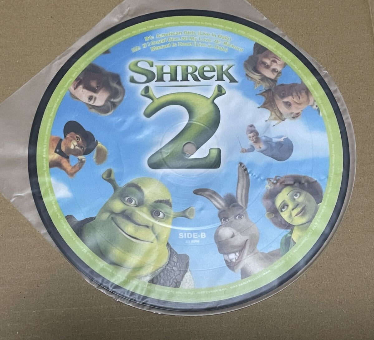 送料込 Counting Crows - Accidentally In Love 7インチ ピクチャー盤 レコード / シュレック, Shrek 2 / 602498628829_画像2