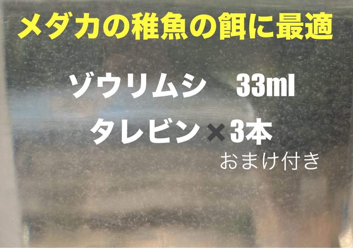 メダカの稚魚　針子の育成に！！　ゾウリムシ33ml×3本　エビオス錠5粒付