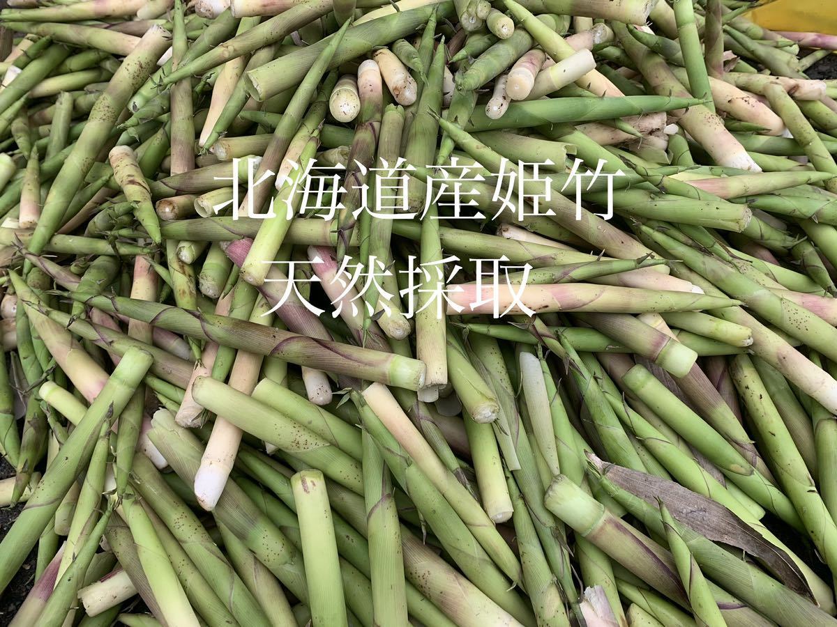 根曲がり竹水煮 250g x 3本 天然採取 無添加 姫竹 細竹　炊き込みご飯の具 煮物 日本最北端北海道稚内産