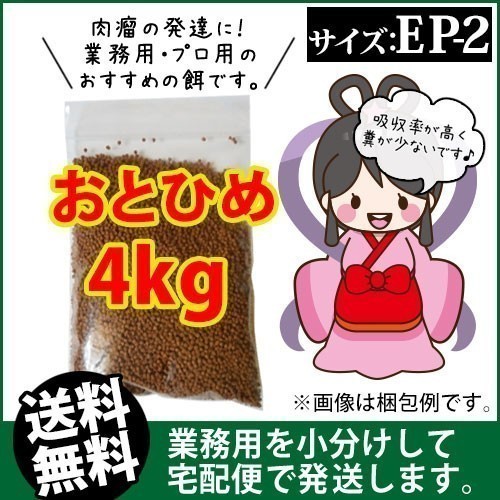 116-11-010 * courier service * Tohoku * Hokkaido * Okinawa is shipping un- possible * day Kiyoshi circle .. charge ....EP2(...)4kg goldfish small shop -.- Fukuoka 
