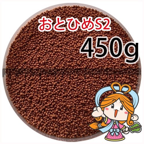 076-06-007 day Kiyoshi circle .. charge ....S2(...)450g*500g from standard modification goldfish small shop -.- Fukuoka 