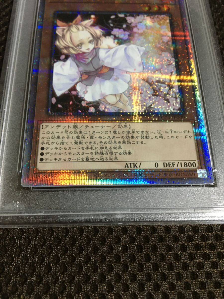 遊戯王 PSA9 現存135枚 灰流うらら 25thシークレット C_画像3