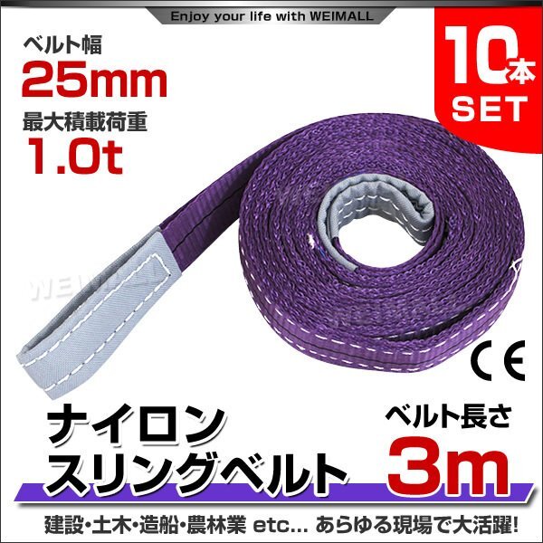 未使用 10本セット ナイロンスリングベルト ベルトスリング スリングベルト 1.0t 1000kg 荷上げ 耐荷 1t 3m 幅 25mm_ベルトスリング スリングベルト