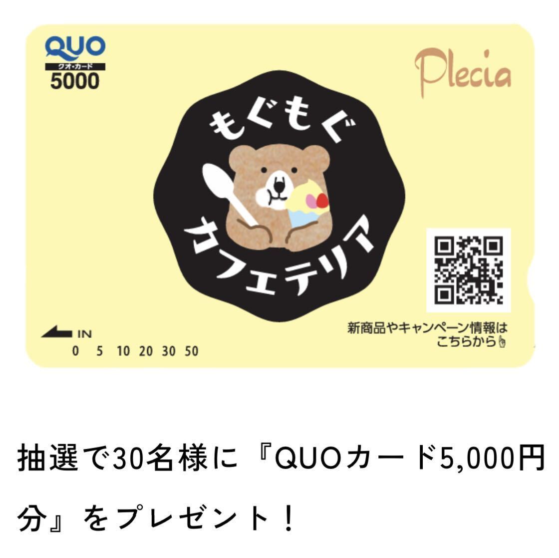 懸賞応募■プレシア■家族でGO!GO!!キャンペーン【レシート 1口分】QUOカード5,000円分が当たる!!■WEB応募_画像3