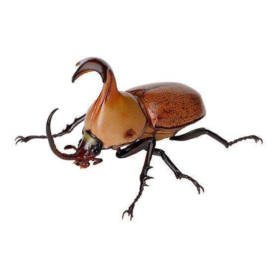 即決 新品 いきもの大図鑑 かぶとむし06 クラヴィゲールタテヅノカブト 昆虫フィギュア ガシャポン ガチャ カブトムシの画像2