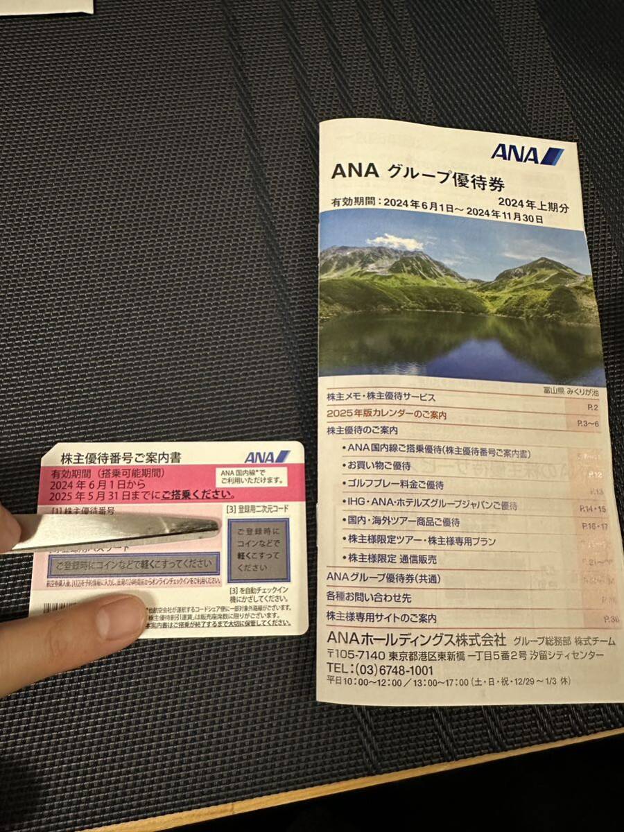 ANA 全日空 株主優待券1枚　有効搭乗期間 2024年6月1日から2025年5月31日まで_画像1