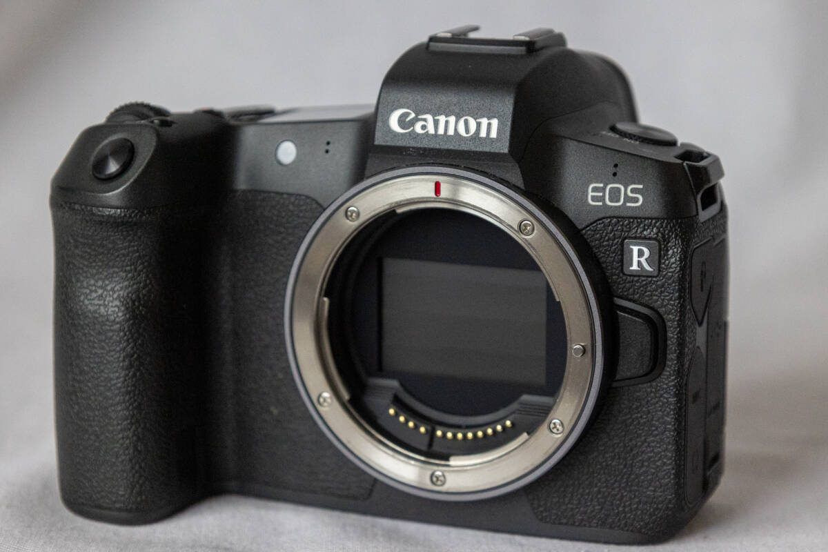 美品 Canon EOS-R ボディ キャノン 元箱あり　ストラップ付き_画像10