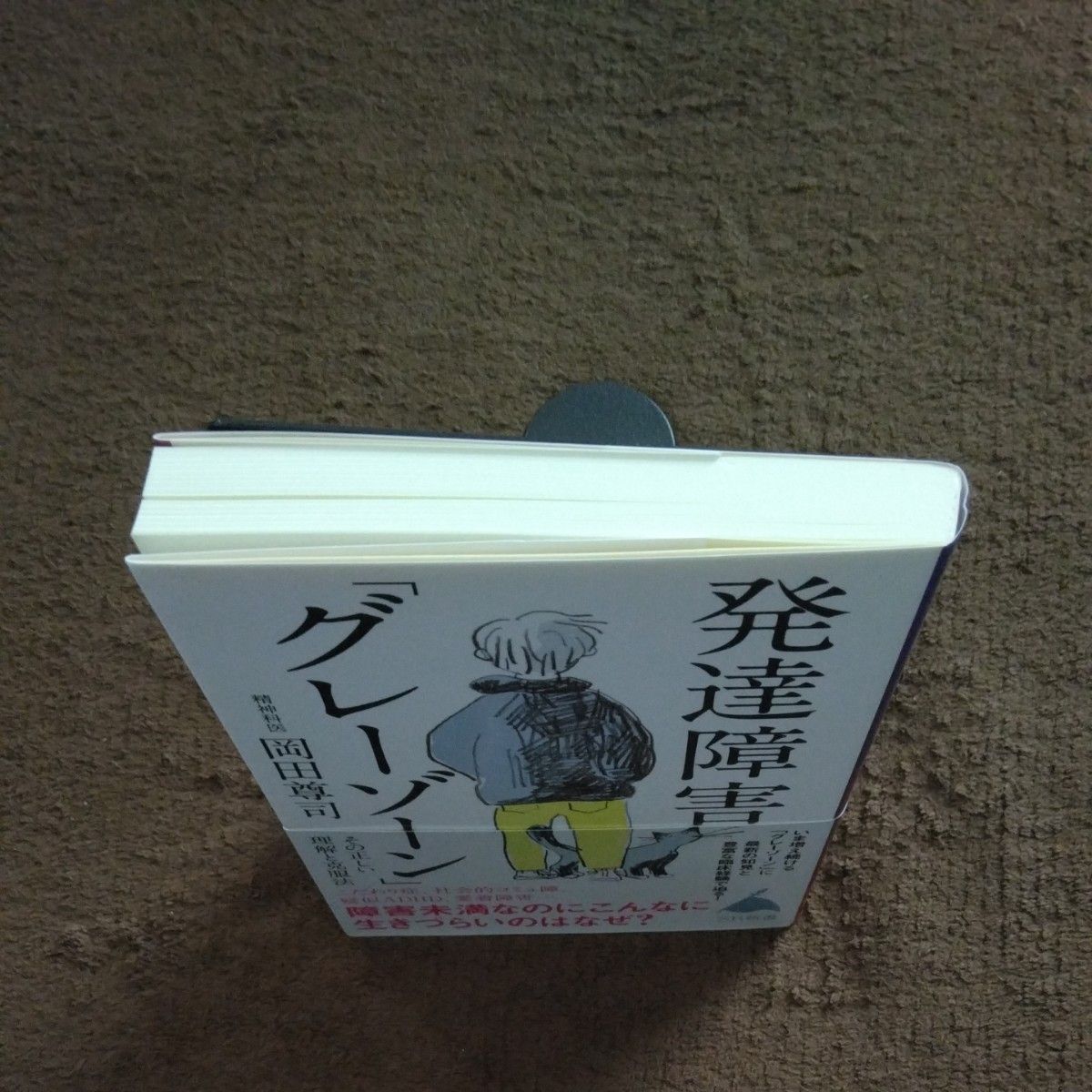 発達障害「グレーゾーン」　その正しい理解と克服法 （ＳＢ新書　５７２） 岡田尊司／著