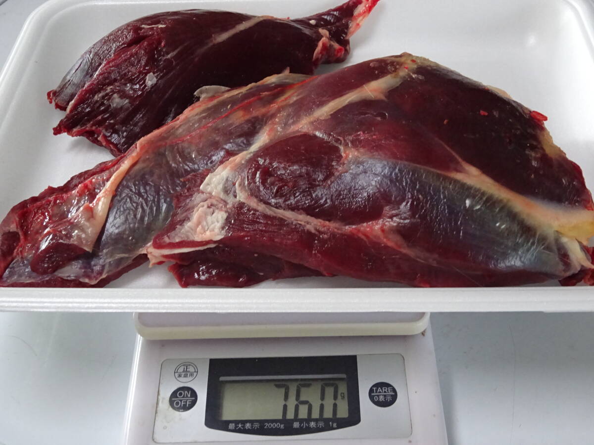 天然鹿肉　捕れたて　モモ肉　その他　７６０ｇ　　同梱可能_画像1