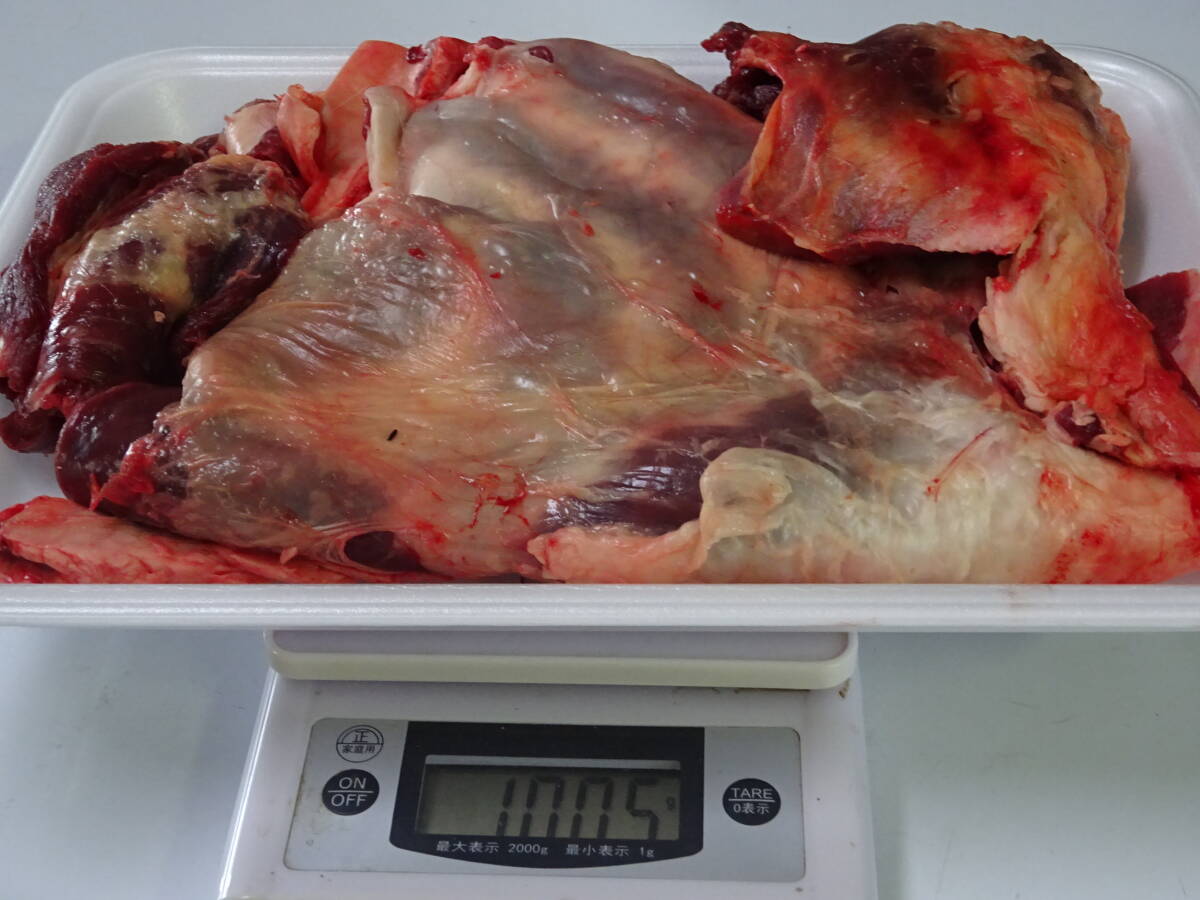 天然鹿肉　捕れたて　バラ肉　その他　１００５ｇ　　同梱可能_画像1